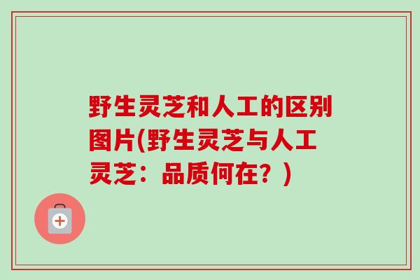 野生灵芝和人工的区别图片(野生灵芝与人工灵芝：品质何在？)-第1张图片-卓越灵芝孢子粉