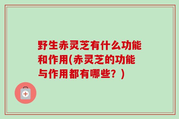 野生赤灵芝有什么功能和作用(赤灵芝的功能与作用都有哪些？)-第1张图片-卓越灵芝孢子粉