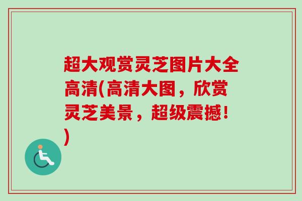 超大观赏灵芝图片大全高清(高清大图，欣赏灵芝美景，超级震撼！)-第1张图片-卓越灵芝孢子粉