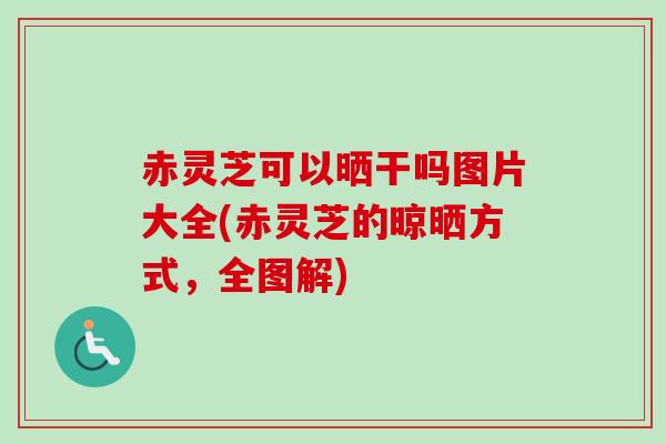 赤灵芝可以晒干吗图片大全(赤灵芝的晾晒方式,全图解)-第1张图片-卓越灵芝孢子粉 赤灵芝可以晒干吗图片大全(赤灵芝的晾晒方式,全图解)-第1张图片-卓越灵芝孢子粉
