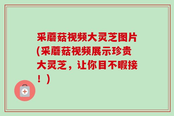 采蘑菇视频大灵芝图片(采蘑菇视频展示珍贵大灵芝,让你目不暇接!)-第1张图片-卓越灵芝孢子粉 采蘑菇视频大灵芝图片(采蘑菇视频展示珍贵大灵芝,让你目不暇接!)-第1张图片-卓越灵芝孢子粉