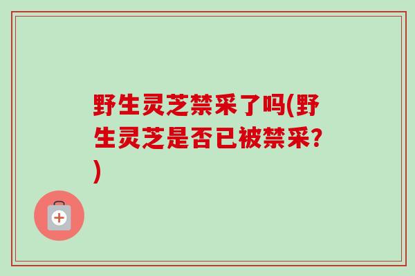 野生灵芝禁采了吗(野生灵芝是否已被禁采?)-第1张图片-卓越灵芝孢子粉 野生灵芝禁采了吗(野生灵芝是否已被禁采?)-第1张图片-卓越灵芝孢子粉