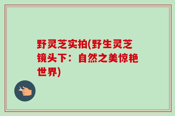 野灵芝实拍(野生灵芝镜头下:自然之美惊艳世界)-第1张图片-卓越灵芝孢子粉 野灵芝实拍(野生灵芝镜头下:自然之美惊艳世界)-第1张图片-卓越灵芝孢子粉