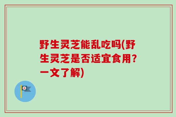 野生灵芝能乱吃吗(野生灵芝是否适宜食用?一文了解)-第1张图片-卓越灵芝孢子粉 野生灵芝能乱吃吗(野生灵芝是否适宜食用?一文了解)-第1张图片-卓越灵芝孢子粉