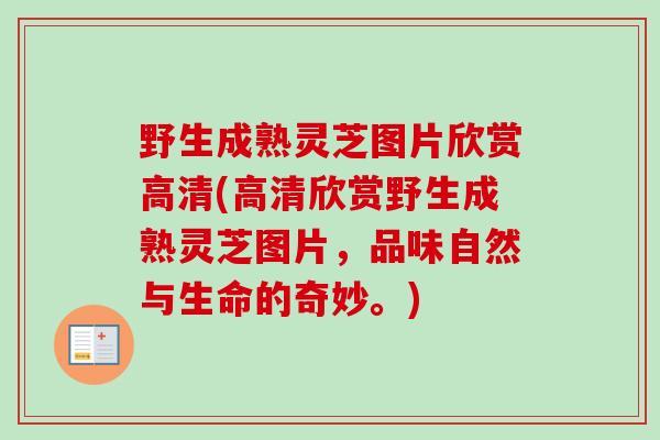 野生成熟灵芝图片欣赏高清(高清欣赏野生成熟灵芝图片,品味自然与生命的奇妙。)-第1张图片-卓越灵芝孢子粉 野生成熟灵芝图片欣赏高清(高清欣赏野生成熟灵芝图片,品味自然与生命的奇妙。)-第1张图片-卓越灵芝孢子粉