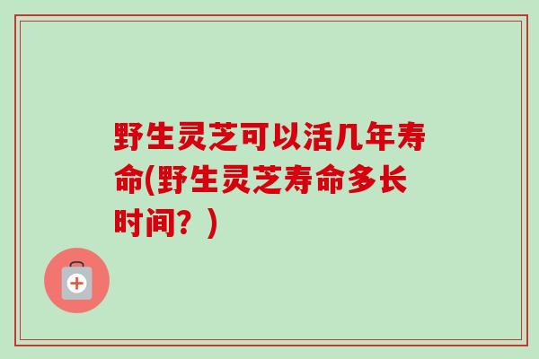 野生灵芝可以活几年寿命(野生灵芝寿命多长时间?)-第1张图片-卓越灵芝孢子粉 野生灵芝可以活几年寿命(野生灵芝寿命多长时间?)-第1张图片-卓越灵芝孢子粉