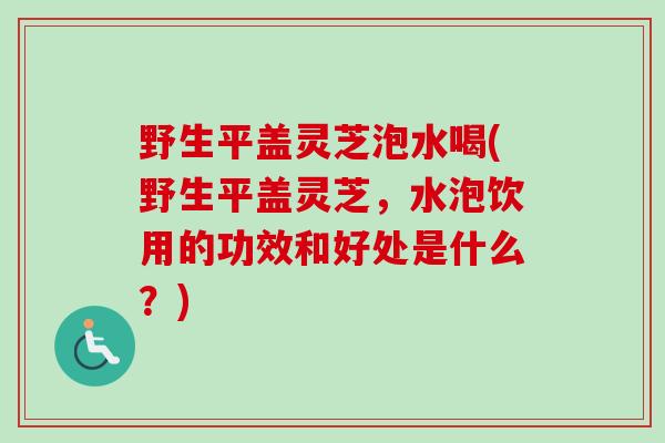 野生平盖灵芝泡水喝(野生平盖灵芝,水泡饮用的功效和好处是什么?)-第1张图片-卓越灵芝孢子粉 野生平盖灵芝泡水喝(野生平盖灵芝,水泡饮用的功效和好处是什么?)-第1张图片-卓越灵芝孢子粉