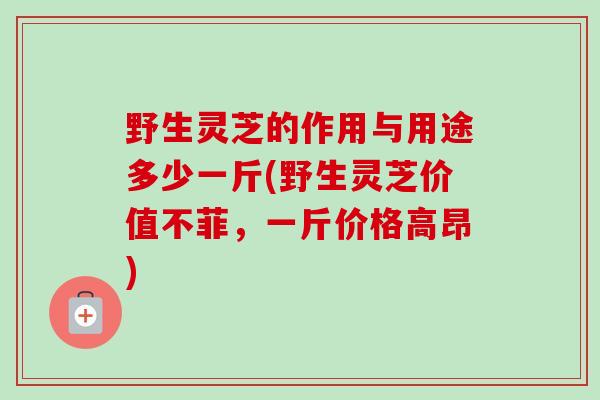 野生灵芝的作用与用途多少一斤(野生灵芝价值不菲，一斤价格高昂)-第1张图片-卓越灵芝孢子粉