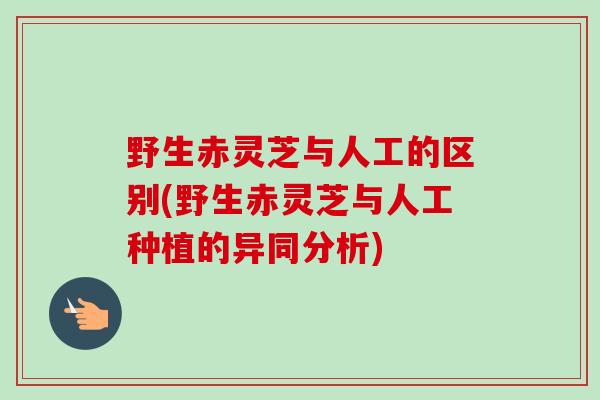 野生赤灵芝与人工的区别(野生赤灵芝与人工种植的异同分析)-第1张图片-卓越灵芝孢子粉 野生赤灵芝与人工的区别(野生赤灵芝与人工种植的异同分析)-第1张图片-卓越灵芝孢子粉