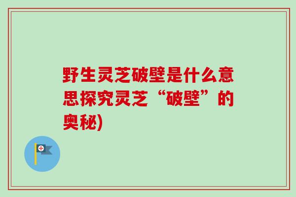 野生灵芝破壁是什么意思探究灵芝“破壁”的奥秘)-第1张图片-卓越灵芝孢子粉 野生灵芝破壁是什么意思探究灵芝“破壁”的奥秘)-第1张图片-卓越灵芝孢子粉