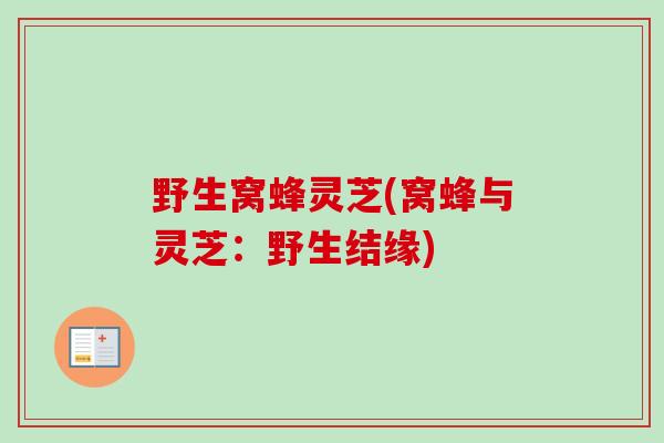 野生窝蜂灵芝(窝蜂与灵芝:野生结缘)-第1张图片-卓越灵芝孢子粉 野生窝蜂灵芝(窝蜂与灵芝:野生结缘)-第1张图片-卓越灵芝孢子粉