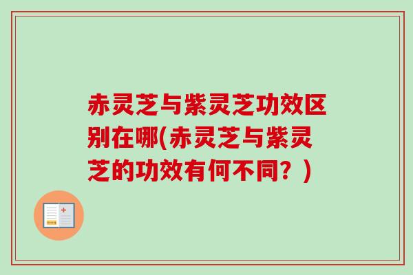 赤灵芝与紫灵芝功效区别在哪(赤灵芝与紫灵芝的功效有何不同?)-第1张图片-卓越灵芝孢子粉 赤灵芝与紫灵芝功效区别在哪(赤灵芝与紫灵芝的功效有何不同?)-第1张图片-卓越灵芝孢子粉