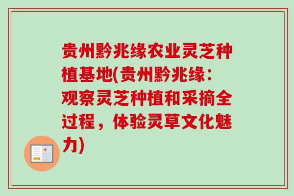 贵州黔兆缘农业灵芝种植基地(贵州黔兆缘：观察灵芝种植和采摘全过程，体验灵草文化魅力)-第1张图片-卓越灵芝孢子粉