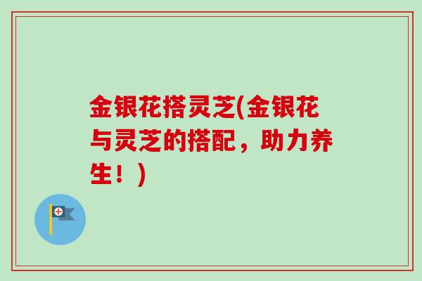 金银花搭灵芝(金银花与灵芝的搭配,助力养生!)-第1张图片-卓越灵芝孢子粉 金银花搭灵芝(金银花与灵芝的搭配,助力养生!)-第1张图片-卓越灵芝孢子粉