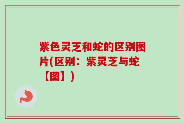 紫色灵芝和蛇的区别图片(区别:紫灵芝与蛇【图】)-第1张图片-卓越灵芝孢子粉 紫色灵芝和蛇的区别图片(区别:紫灵芝与蛇【图】)-第1张图片-卓越灵芝孢子粉