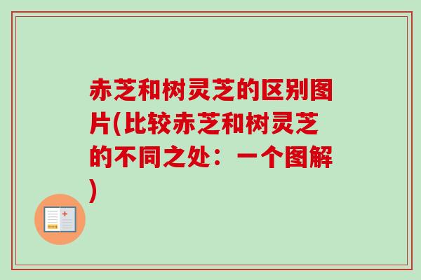 赤芝和树灵芝的区别图片(比较赤芝和树灵芝的不同之处:一个图解)-第1张图片-卓越灵芝孢子粉 赤芝和树灵芝的区别图片(比较赤芝和树灵芝的不同之处:一个图解)-第1张图片-卓越灵芝孢子粉