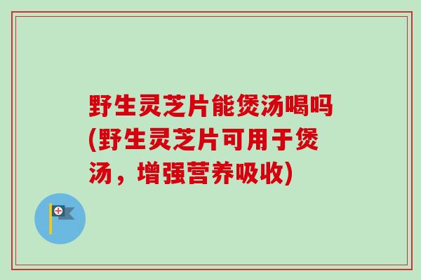 野生灵芝片能煲汤喝吗(野生灵芝片可用于煲汤，增强营养吸收)-第1张图片-卓越灵芝孢子粉