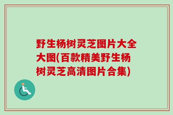 野生杨树灵芝图片大全大图(百款精美野生杨树灵芝高清图片合集)-第1张图片-卓越灵芝孢子粉 野生杨树灵芝图片大全大图(百款精美野生杨树灵芝高清图片合集)-第1张图片-卓越灵芝孢子粉
