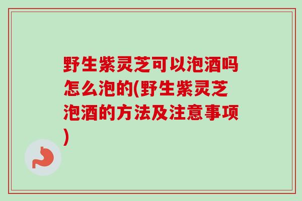 野生紫灵芝可以泡酒吗怎么泡的(野生紫灵芝泡酒的方法及注意事项)-第1张图片-卓越灵芝孢子粉 野生紫灵芝可以泡酒吗怎么泡的(野生紫灵芝泡酒的方法及注意事项)-第1张图片-卓越灵芝孢子粉