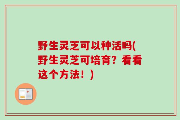 野生灵芝可以种活吗(野生灵芝可培育?看看这个方法!)-第1张图片-卓越灵芝孢子粉 野生灵芝可以种活吗(野生灵芝可培育?看看这个方法!)-第1张图片-卓越灵芝孢子粉
