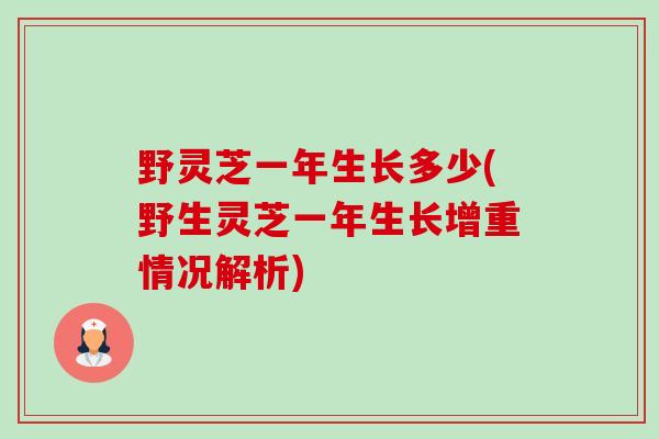 野灵芝一年生长多少(野生灵芝一年生长增重情况解析)-第1张图片-卓越灵芝孢子粉 野灵芝一年生长多少(野生灵芝一年生长增重情况解析)-第1张图片-卓越灵芝孢子粉