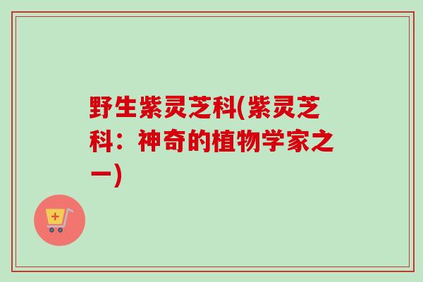 野生紫灵芝科(紫灵芝科:神奇的植物学家之一)-第1张图片-卓越灵芝孢子粉 野生紫灵芝科(紫灵芝科:神奇的植物学家之一)-第1张图片-卓越灵芝孢子粉