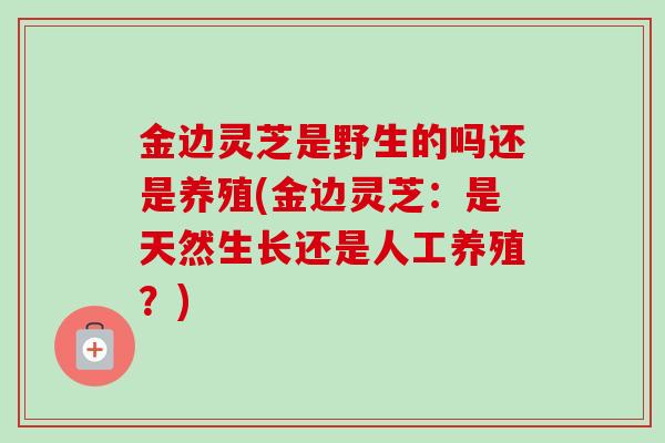 金边灵芝是野生的吗还是养殖(金边灵芝：是天然生长还是人工养殖？)-第1张图片-卓越灵芝孢子粉