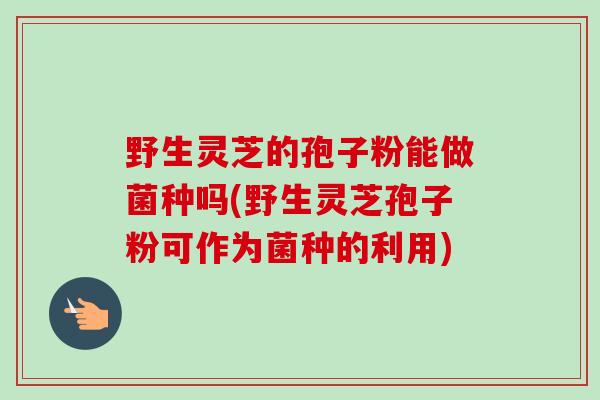 野生灵芝的孢子粉能做菌种吗(野生灵芝孢子粉可作为菌种的利用)-第1张图片-卓越灵芝孢子粉