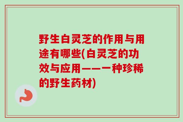 野生白灵芝的作用与用途有哪些(白灵芝的功效与应用——一种珍稀的野生药材)-第1张图片-卓越灵芝孢子粉