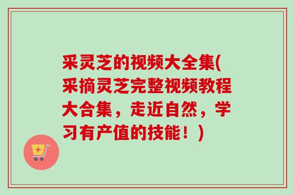 采灵芝的视频大全集(采摘灵芝完整视频教程大合集,走近自然,学习有产值的技能!)-第1张图片-卓越灵芝孢子粉 采灵芝的视频大全集(采摘灵芝完整视频教程大合集,走近自然,学习有产值的技能!)-第1张图片-卓越灵芝孢子粉