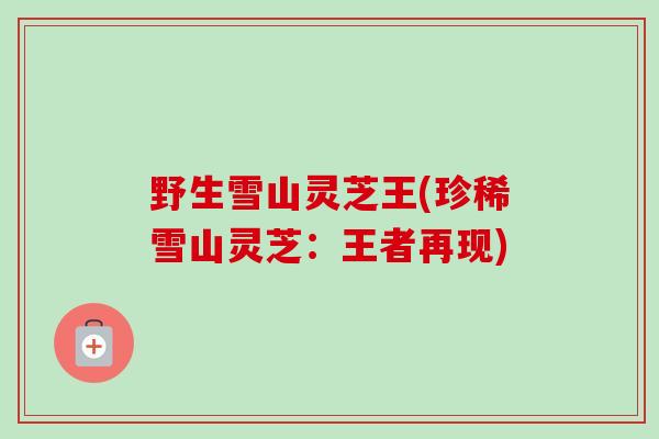 野生雪山灵芝王(珍稀雪山灵芝:王者再现)-第1张图片-卓越灵芝孢子粉 野生雪山灵芝王(珍稀雪山灵芝:王者再现)-第1张图片-卓越灵芝孢子粉