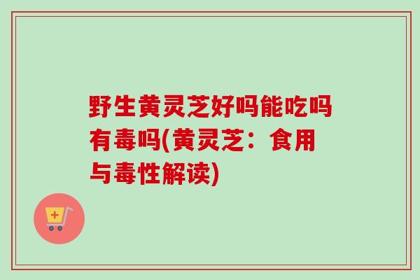 野生黄灵芝好吗能吃吗有毒吗(黄灵芝：食用与毒性解读)-第1张图片-卓越灵芝孢子粉