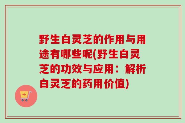 野生白灵芝的作用与用途有哪些呢(野生白灵芝的功效与应用:解析白灵芝的药用价值)-第1张图片-卓越灵芝孢子粉 野生白灵芝的作用与用途有哪些呢(野生白灵芝的功效与应用:解析白灵芝的药用价值)-第1张图片-卓越灵芝孢子粉
