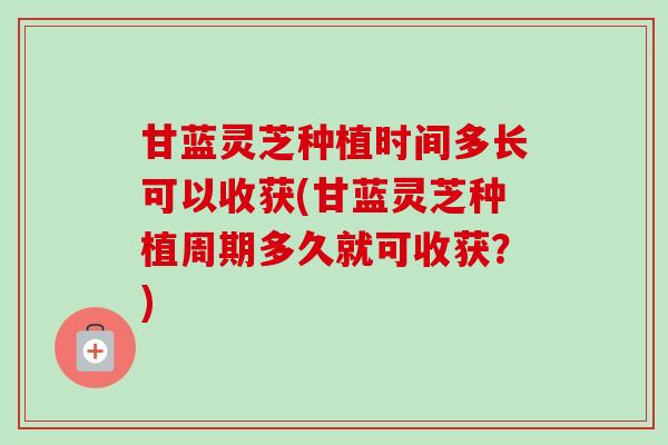 甘蓝灵芝种植时间多长可以收获(甘蓝灵芝种植周期多久就可收获?)-第1张图片-卓越灵芝孢子粉 甘蓝灵芝种植时间多长可以收获(甘蓝灵芝种植周期多久就可收获?)-第1张图片-卓越灵芝孢子粉