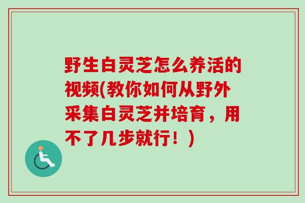 野生白灵芝怎么养活的视频(教你如何从野外采集白灵芝并培育,用不了几步就行!)-第1张图片-卓越灵芝孢子粉 野生白灵芝怎么养活的视频(教你如何从野外采集白灵芝并培育,用不了几步就行!)-第1张图片-卓越灵芝孢子粉