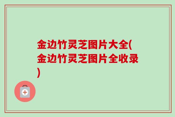 金边竹灵芝图片大全(金边竹灵芝图片全收录)-第1张图片-卓越灵芝孢子粉 金边竹灵芝图片大全(金边竹灵芝图片全收录)-第1张图片-卓越灵芝孢子粉