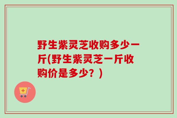野生紫灵芝收购多少一斤(野生紫灵芝一斤收购价是多少？)-第1张图片-卓越灵芝孢子粉