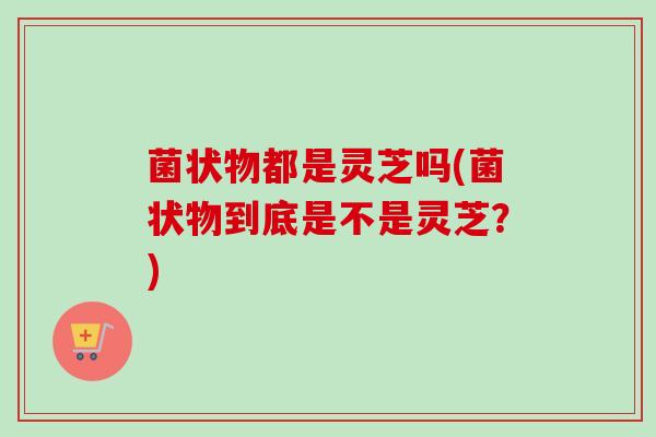 菌状物都是灵芝吗(菌状物到底是不是灵芝？)-第1张图片-卓越灵芝孢子粉
