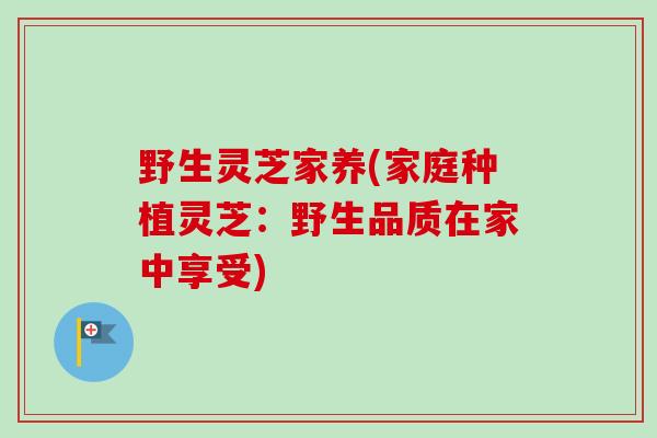 野生灵芝家养(家庭种植灵芝：野生品质在家中享受)-第1张图片-卓越灵芝孢子粉