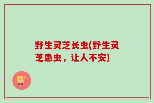 野生灵芝长虫(野生灵芝患虫，让人不安)-第1张图片-卓越灵芝孢子粉