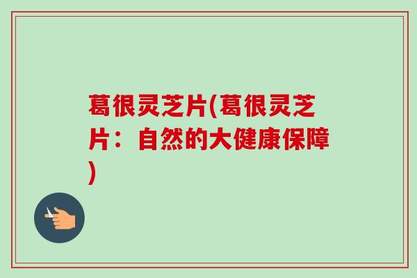 葛很灵芝片(葛很灵芝片:自然的大健康保障)-第1张图片-卓越灵芝孢子粉 葛很灵芝片(葛很灵芝片:自然的大健康保障)-第1张图片-卓越灵芝孢子粉