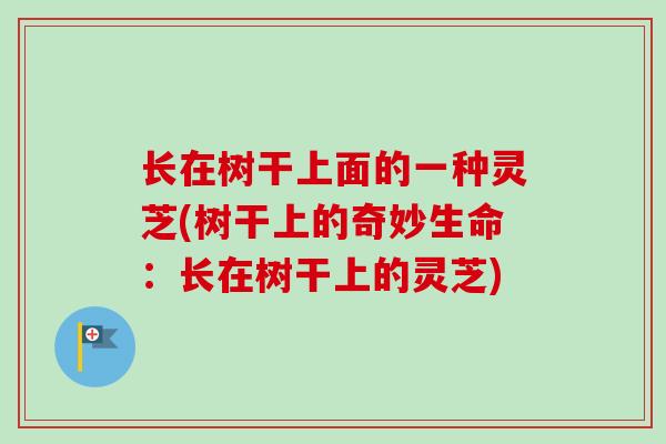 长在树干上面的一种灵芝(树干上的奇妙生命:长在树干上的灵芝)-第1张图片-卓越灵芝孢子粉 长在树干上面的一种灵芝(树干上的奇妙生命:长在树干上的灵芝)-第1张图片-卓越灵芝孢子粉