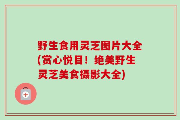 野生食用灵芝图片大全(赏心悦目！绝美野生灵芝美食摄影大全)-第1张图片-卓越灵芝孢子粉