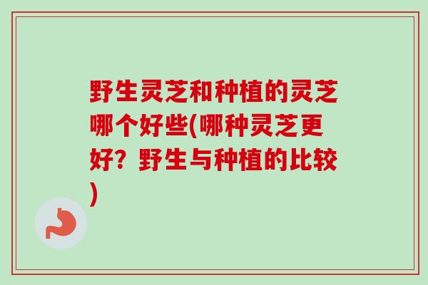 野生灵芝和种植的灵芝哪个好些(哪种灵芝更好？野生与种植的比较)-第1张图片-卓越灵芝孢子粉