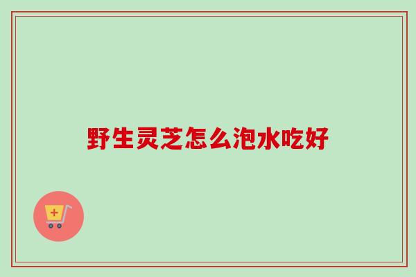 野生灵芝怎么泡水吃好-第1张图片-卓越灵芝孢子粉 野生灵芝怎么泡水吃好-第1张图片-卓越灵芝孢子粉