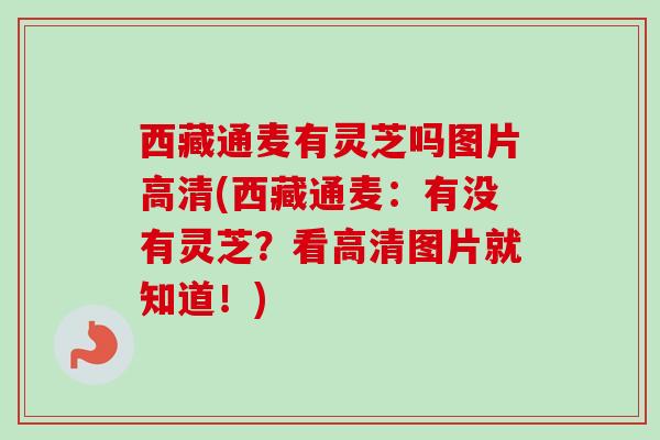 西藏通麦有灵芝吗图片高清(西藏通麦:有没有灵芝?看高清图片就知道!)-第1张图片-卓越灵芝孢子粉 西藏通麦有灵芝吗图片高清(西藏通麦:有没有灵芝?看高清图片就知道!)-第1张图片-卓越灵芝孢子粉
