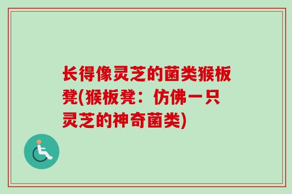 长得像灵芝的菌类猴板凳(猴板凳:仿佛一只灵芝的神奇菌类)-第1张图片-卓越灵芝孢子粉 长得像灵芝的菌类猴板凳(猴板凳:仿佛一只灵芝的神奇菌类)-第1张图片-卓越灵芝孢子粉