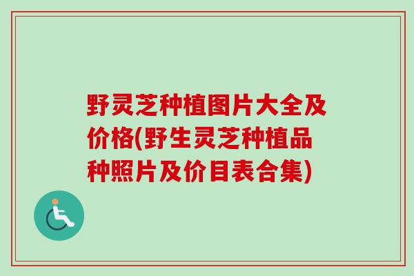 野灵芝种植图片大全及价格(野生灵芝种植品种照片及价目表合集)-第1张图片-卓越灵芝孢子粉 野灵芝种植图片大全及价格(野生灵芝种植品种照片及价目表合集)-第1张图片-卓越灵芝孢子粉