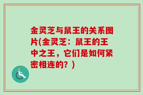 金灵芝与鼠王的关系图片(金灵芝:鼠王的王中之王,它们是如何紧密相连的?)-第1张图片-卓越灵芝孢子粉 金灵芝与鼠王的关系图片(金灵芝:鼠王的王中之王,它们是如何紧密相连的?)-第1张图片-卓越灵芝孢子粉