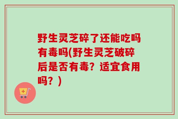 野生灵芝碎了还能吃吗有毒吗(野生灵芝破碎后是否有毒?适宜食用吗?)-第1张图片-卓越灵芝孢子粉 野生灵芝碎了还能吃吗有毒吗(野生灵芝破碎后是否有毒?适宜食用吗?)-第1张图片-卓越灵芝孢子粉